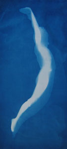 Cyanotype:  Diver