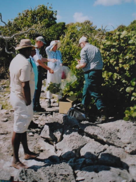 2004 Anegada British Virgin Islands expedition for The Royal Botanic Garden Kew 