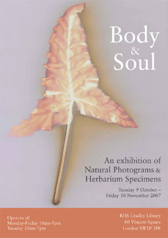Body & Soul poster showing Arum