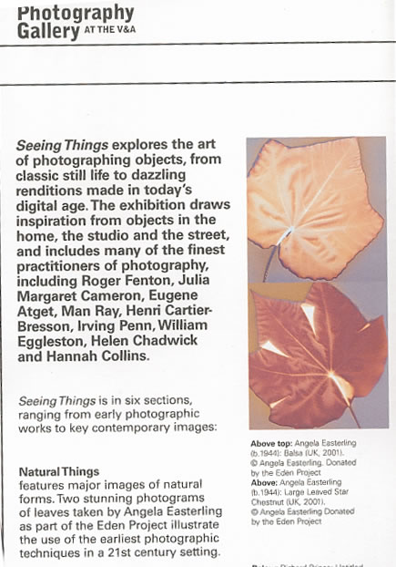 V&A flyer - Seeing Things